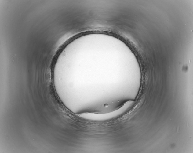 X0000093601267200711121140