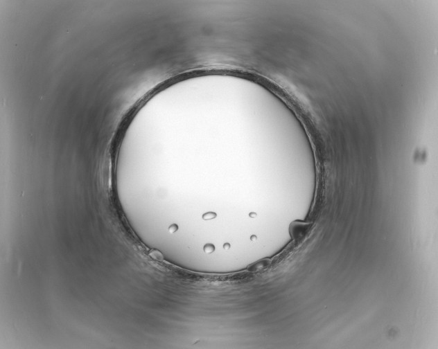 X0000093601269200711121140