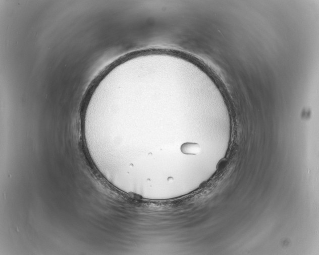 X0000093601271200711121140