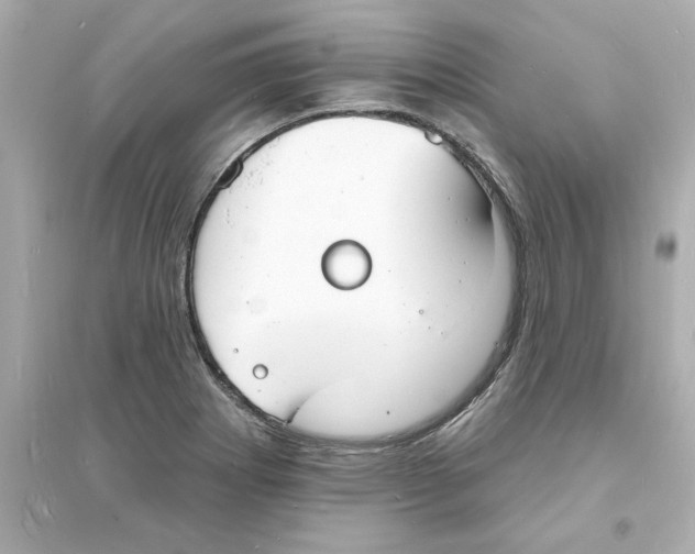 X0000093601273200711121140