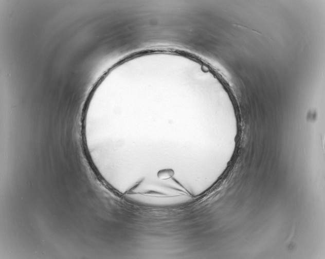 X0000093601279200711121140