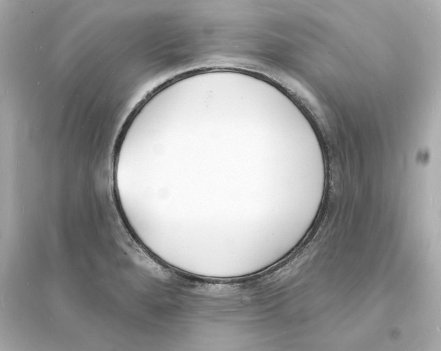 X0000093601280200711121140