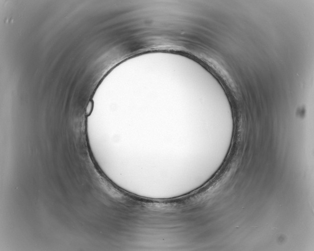 X0000093601281200711121140