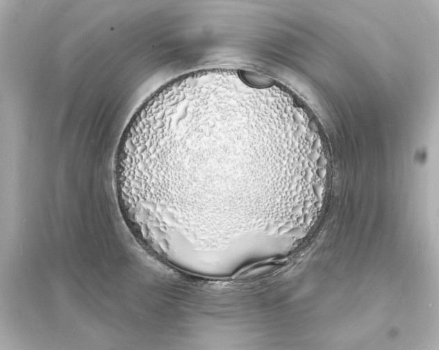 X0000093601283200711121140