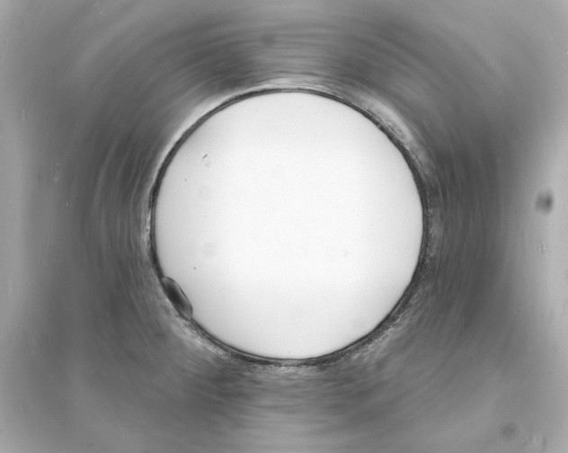 X0000093601284200711121140