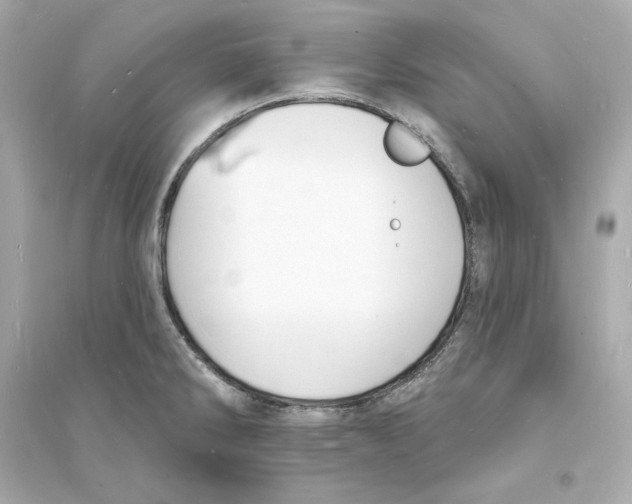 X0000093601286200711121140