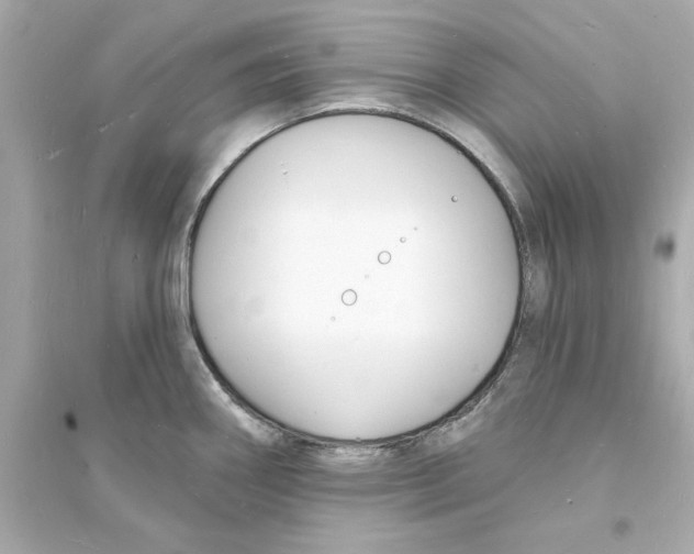 X0000093601290200711121140