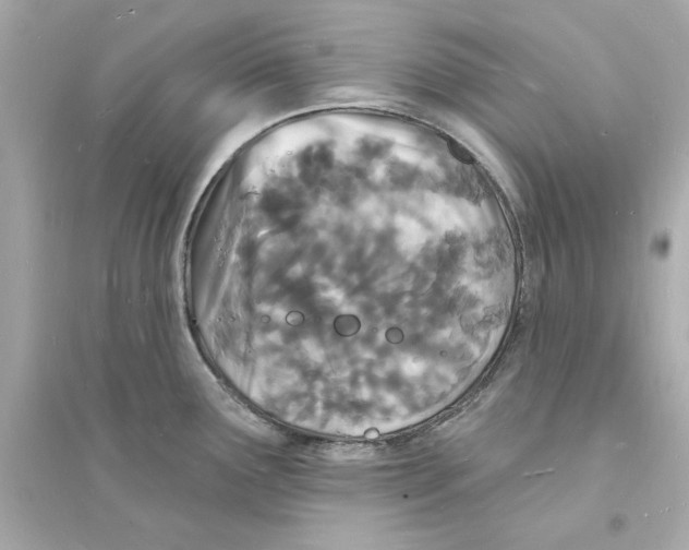 X0000093601291200711121140