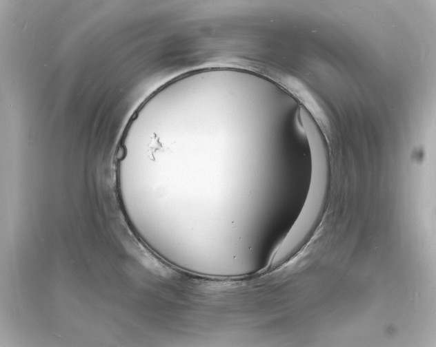 X0000093601292200711121140