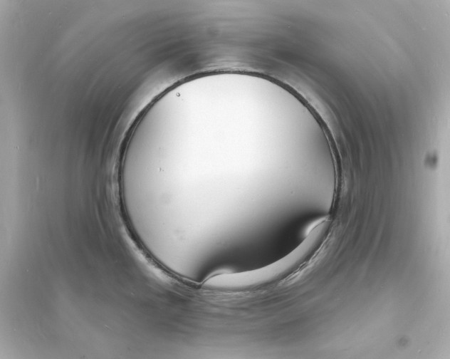 X0000093601293200711121140