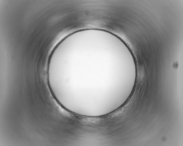 X0000093601294200711121140