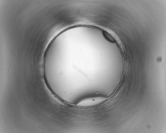 X0000093601295200711121140