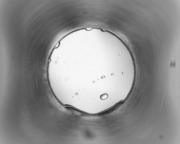 X0000093601296200711121140