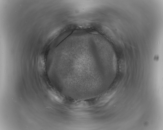 X0000093601298200711121139