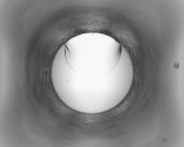 X0000093601300200711121139