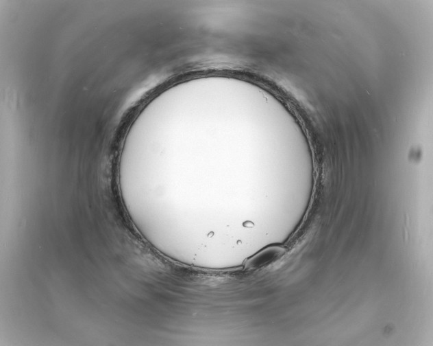 X0000093601309200711121139