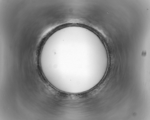 X0000093601311200711121139