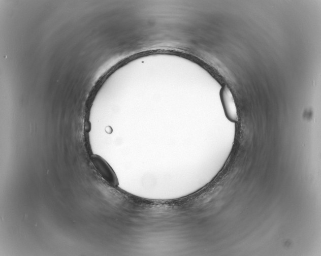 X0000093601316200711121139