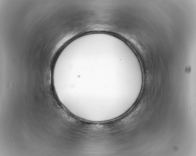 X0000093601317200711121139