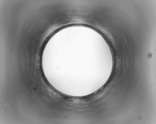 X0000093601318200711121139