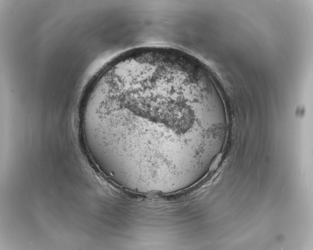 X0000093601319200711121139