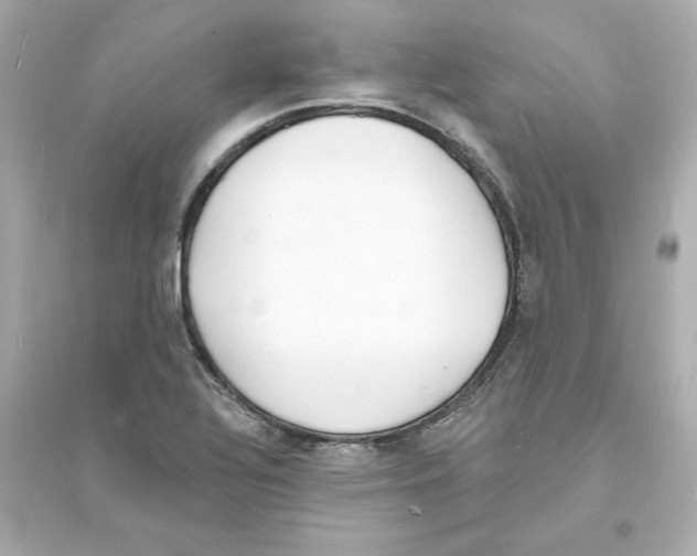 X0000093601320200711121139