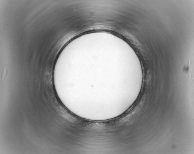 X0000093601321200711121140