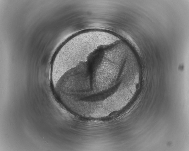 X0000093601323200711121140