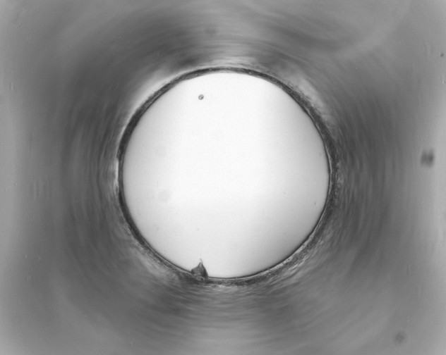 X0000093601324200711121140