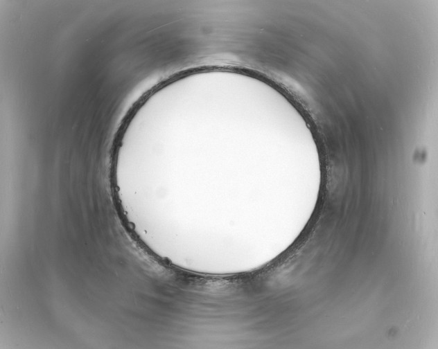 X0000093601326200711121140