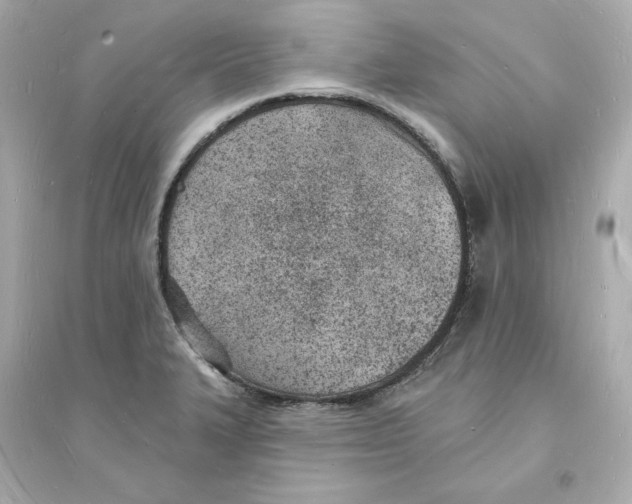 X0000093601327200711121140