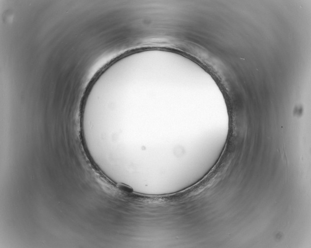 X0000093601328200711121140