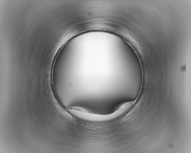 X0000093601330200711121140