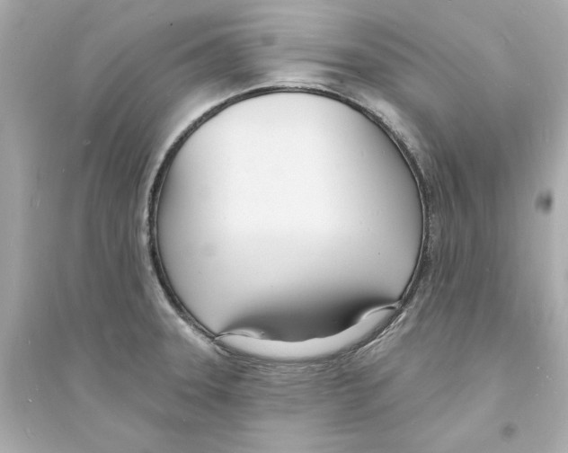 X0000093601331200711121140