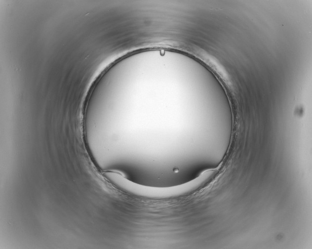 X0000093601332200711121140