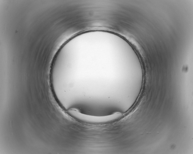 X0000093601333200711121140