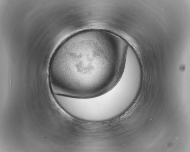 X0000093601334200711121140