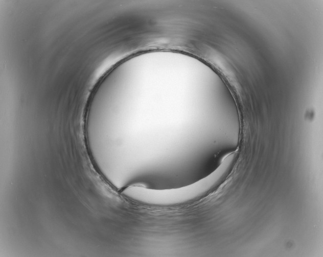 X0000093601336200711121140