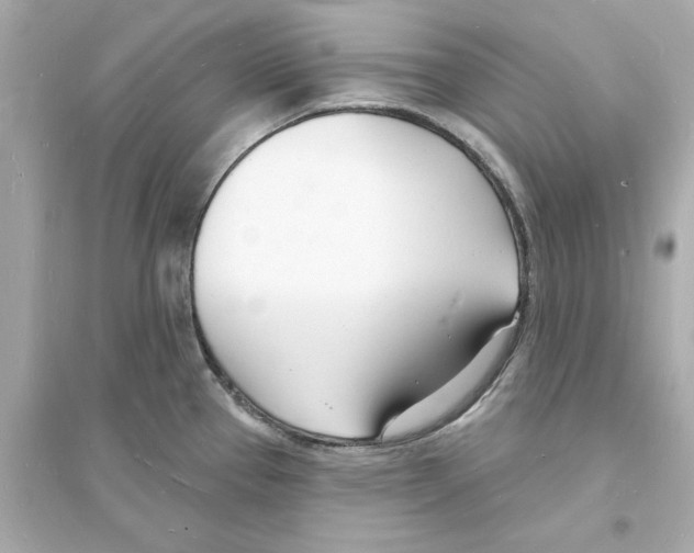 X0000093601337200711121140