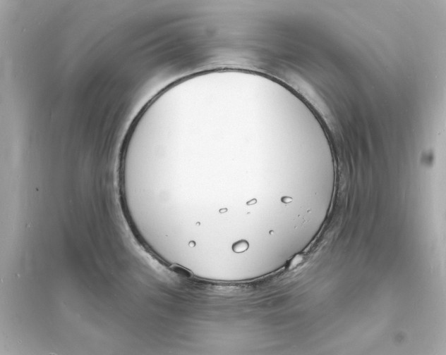 X0000093601339200711121140