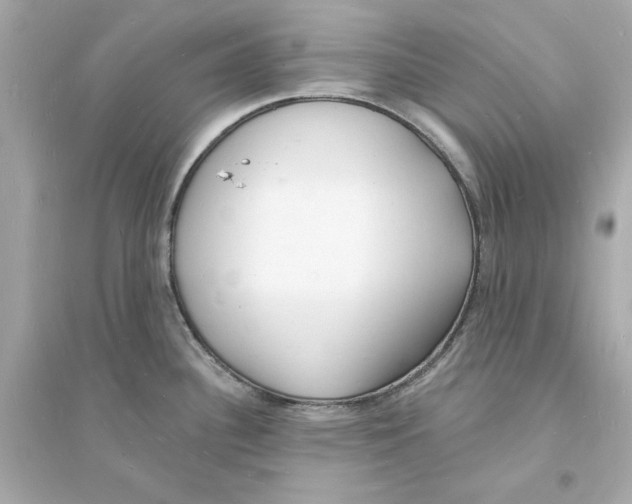 X0000093601340200711121140