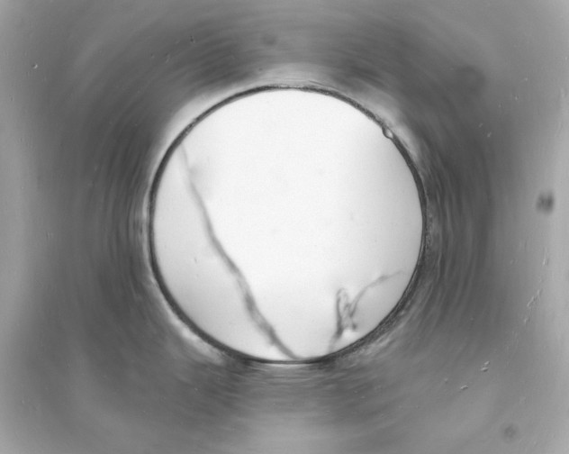 X0000093601343200711121140