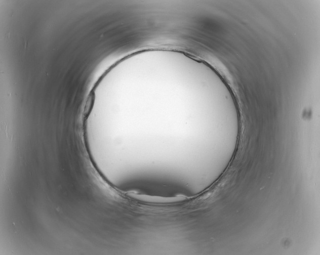 X0000093601344200711121140