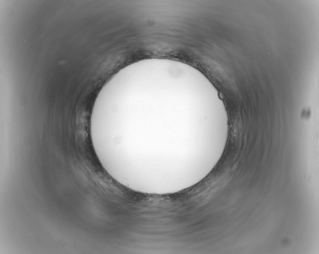 X0000093601346200711121139