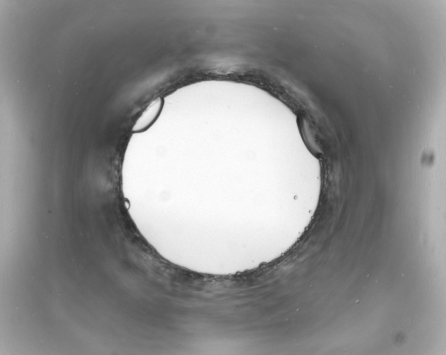 X0000093601349200711121139