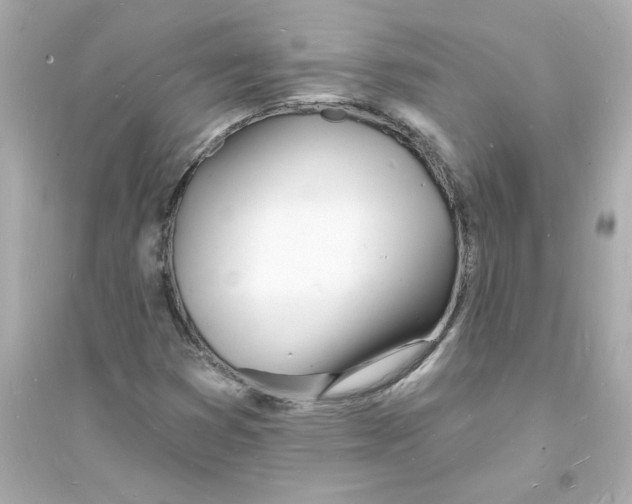 X0000093601353200711121139