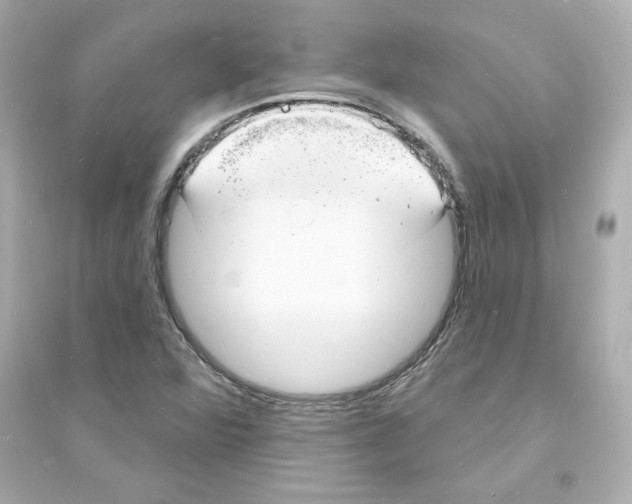 X0000093601360200711121139