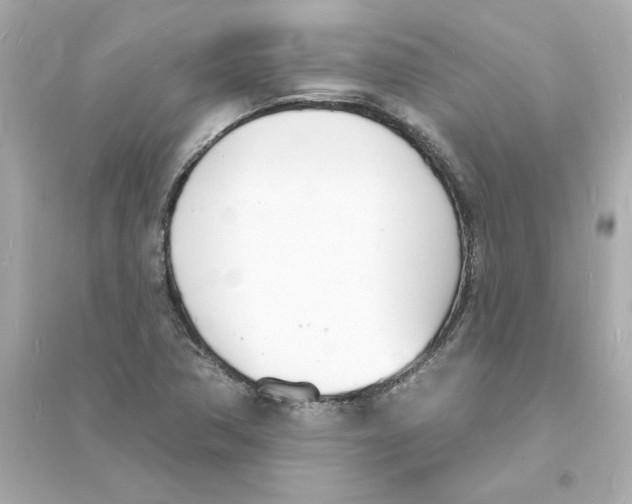 X0000093601362200711121139