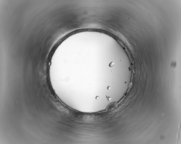 X0000093601364200711121139