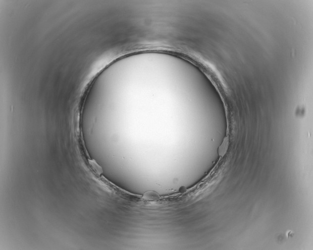 X0000093601365200711121139